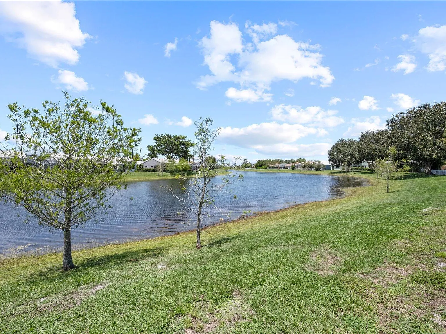 3 bed, 2.0 bath, 1812 sqft, $7,500 — Photo 4