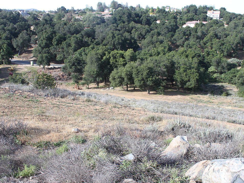 View from top of lot