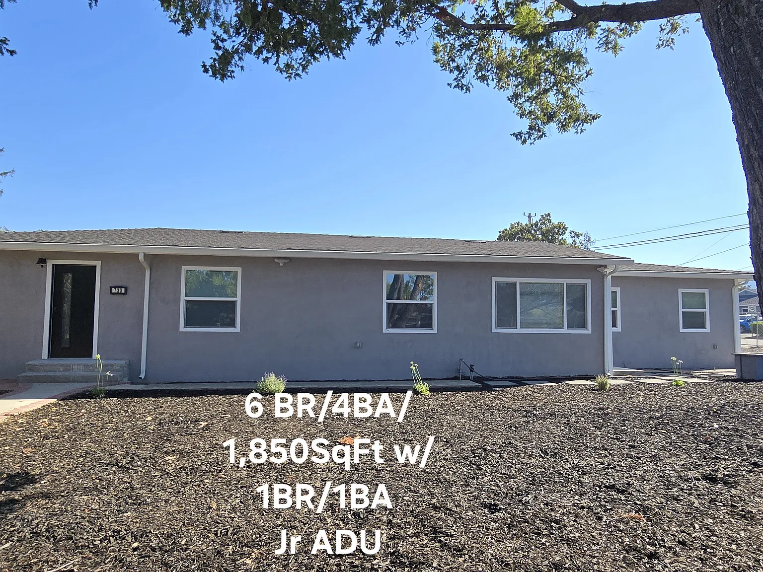 5 bed, 1251 sqft, $4,500 — Photo 1