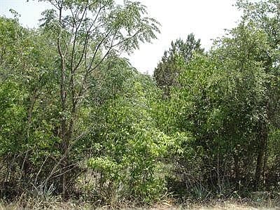 Backside of Property