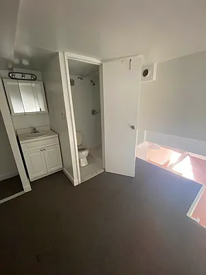 Rented by Voro NYC | media 41