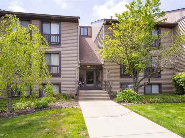 1105 Canyon View Rd APT 204, Northfield, OH 44067