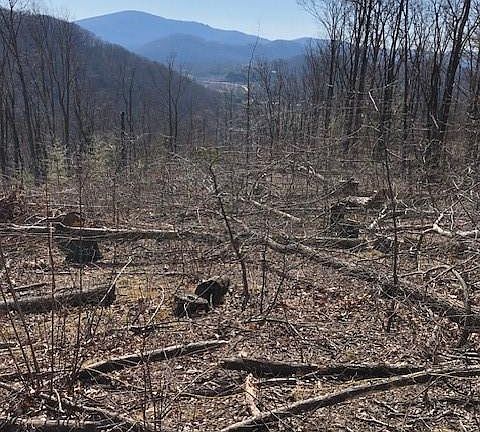 3rd image of 0 Butler Ridge Trl #26