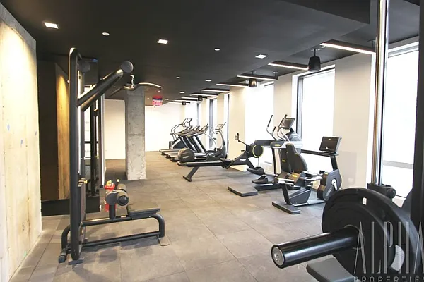 Rented by Alpha Properties NYC I LLC | media 23