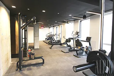 Rented by Alpha Properties NYC I LLC