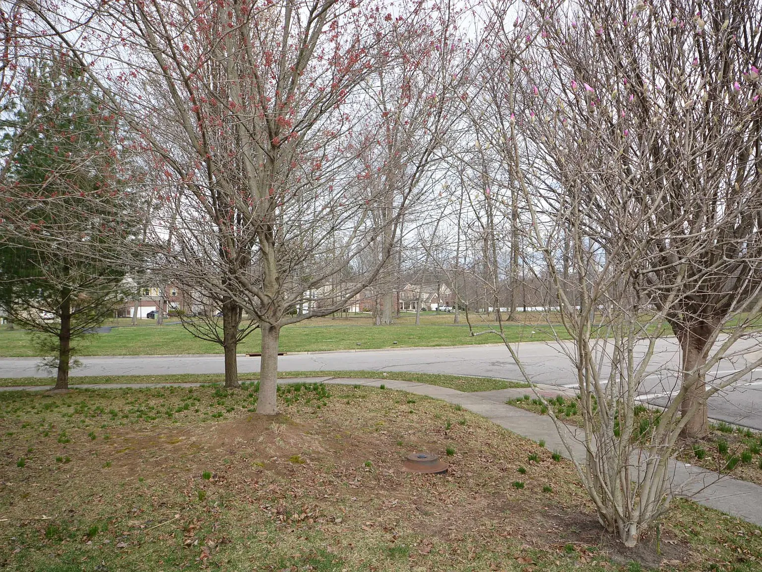3 bed, 2.5 bath, 1992 sqft, $2,195 — Photo 2