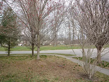 Front-yard view at 3 Woodsong Ct