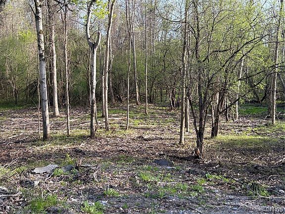 4th image of 0 Ridge Rd #53