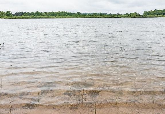 3rd image of 199 Little Stoney Lake Drive Oak Grv #199