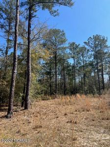 6686 Mossey Run Drive NE, Leland, NC, 28451