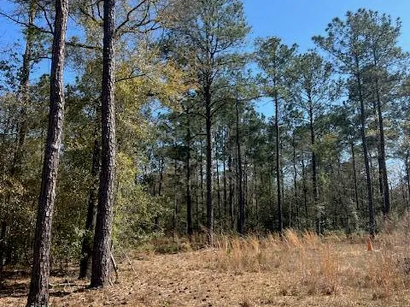 6686 Mossey Run Drive NE, Leland, NC 28451