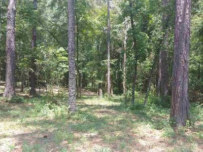 0 Funderburg Bend Rd #0, Pell City, AL, 35128