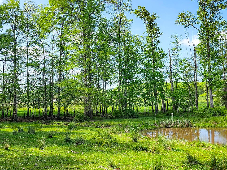 623 Cadle Ridge Rd, Grassy Meadows, WV 24943 MLS 221696 Zillow