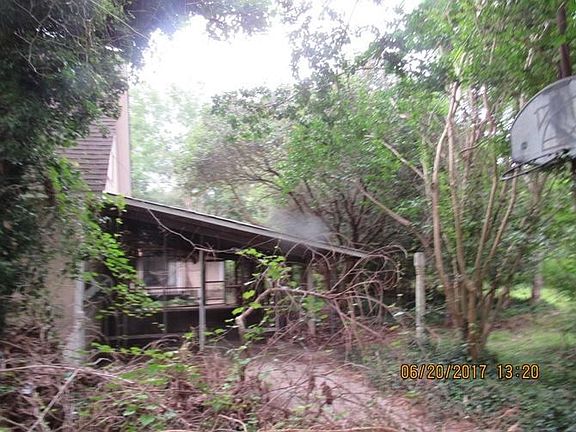 eagle brian grass hill spring 230