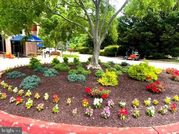 10001 Windstream Dr Unit 404, Columbia, MD 21044