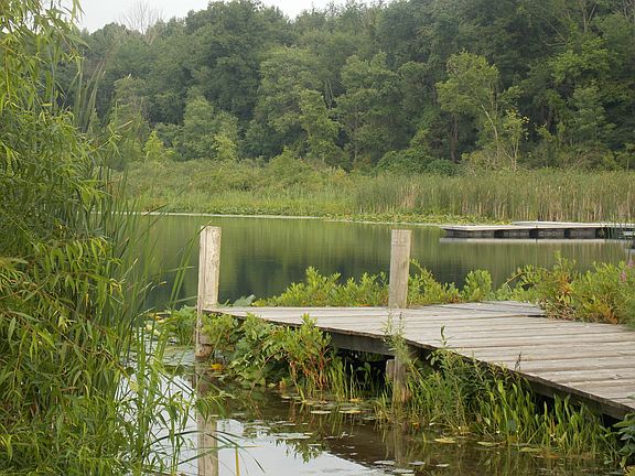 3rd image of LOT 10 Long Lake Dr
