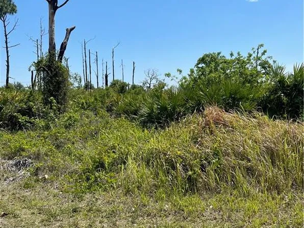 373 Charwood Ave S, Lehigh Acres, FL 33974