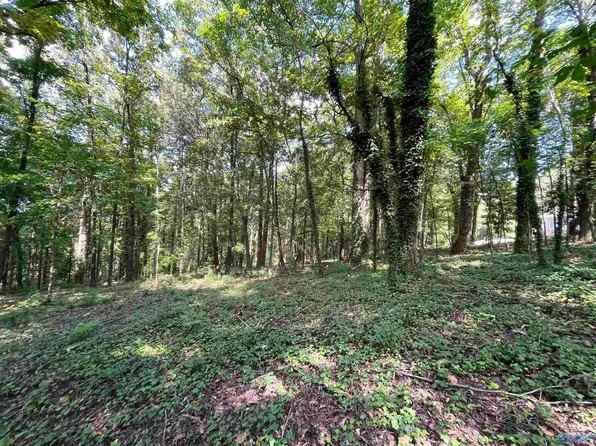 11 Camille Cir, Gadsden, AL 35901