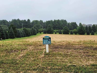 L124 Blue Victoria, Sun Prairie, WI, 53590