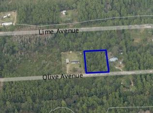 5086 Olive Ave, Bunnell, FL 32110
