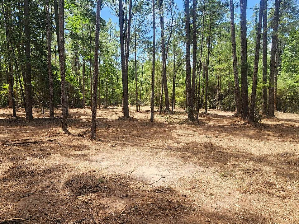 297 Sweetgum Brookeland, TX, 75931 Apartments for Rent Zillow