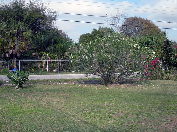 Back yard
