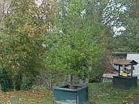 2nd image of 967 N Collier St