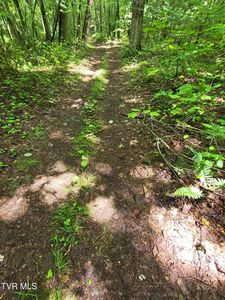 Dry Branch Rd, Elizabethton, TN, 37643