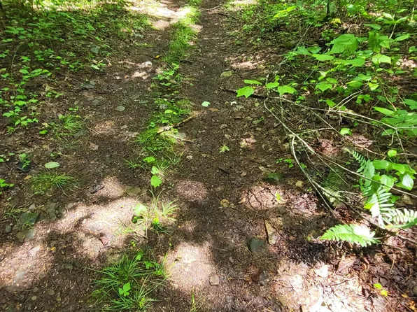 Dry Branch Rd, Elizabethton, TN 37643