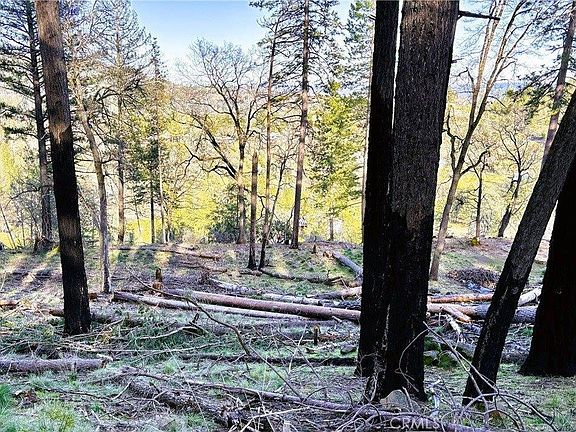 2nd image of 9734 Elliott Dr