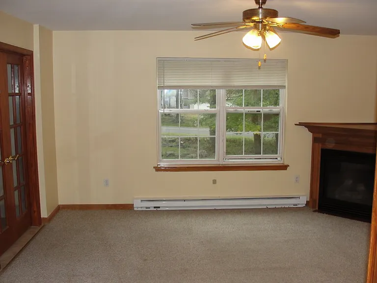 Living room and fireplace