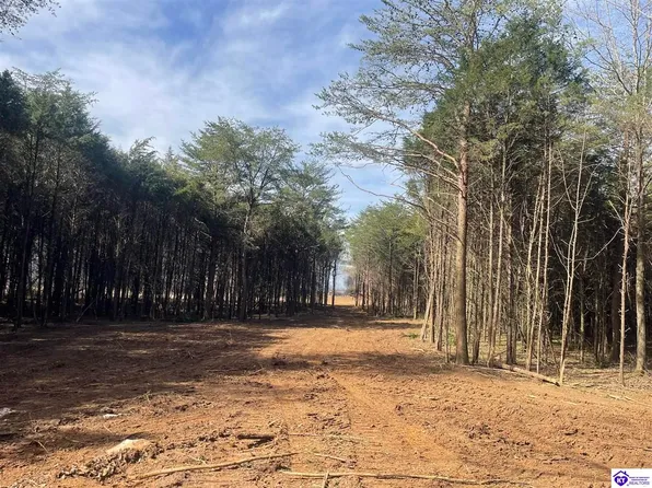 TRACT 5 Jenkins Rd, Upton, KY 42784