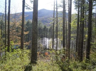 0 Lake Logan Rd, Canton, NC 28716