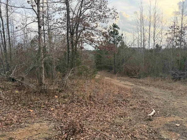 Easement Road Polk #414, Mena, AR 71953