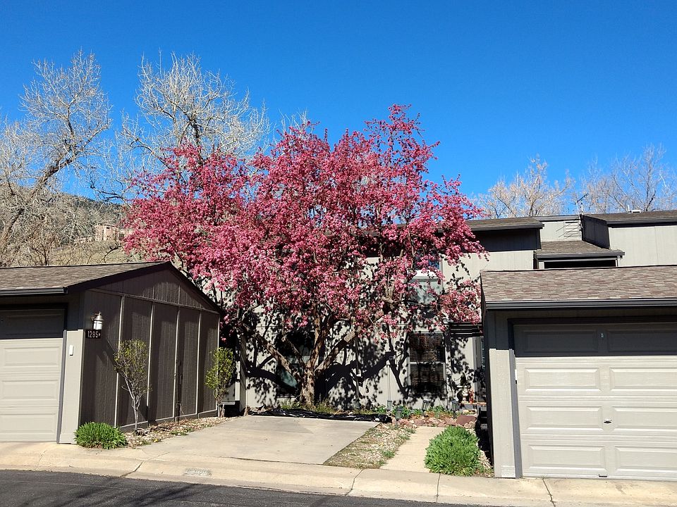 1st image of 1295 Bear Mountain Dr APT C