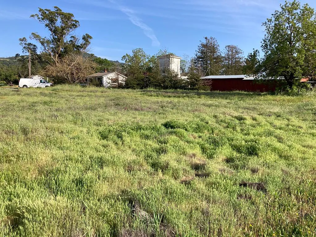 1 bed, 1200 sqft, $3,500 — Photo 4