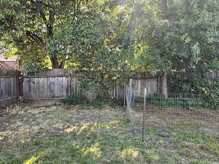 Rear Yard