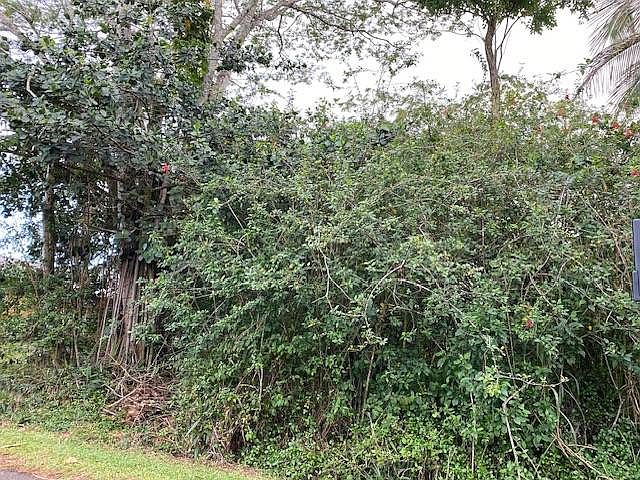 1st image of 16-2050 Pikake Dr Lot 10