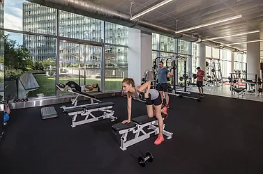 Rented by Platinum Properties