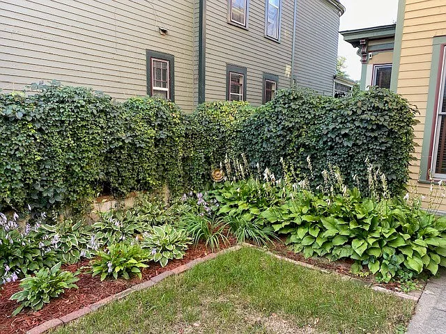 410 Maple St — Photo 20