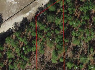 6046 W Pell Pl Lot 3, Dunnellon, FL 34433