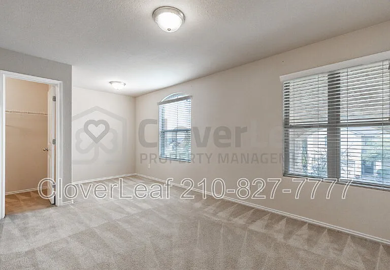 3734 Ox Eye Daisy — Photo 26