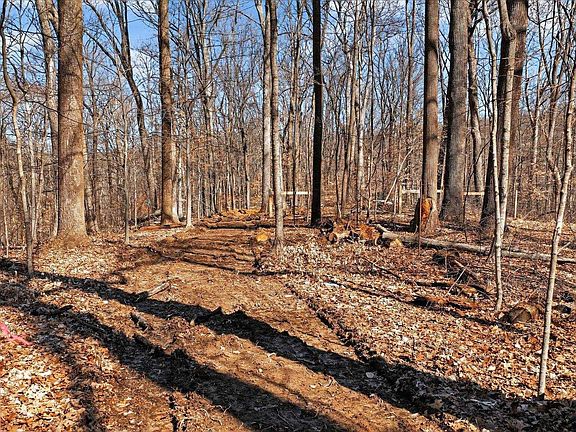 3rd image of 7594 Shilo North Rd