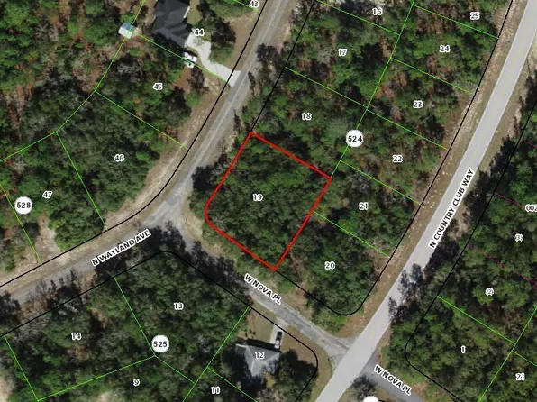 9539 N Wayland Ave, Citrus Springs, FL 34434