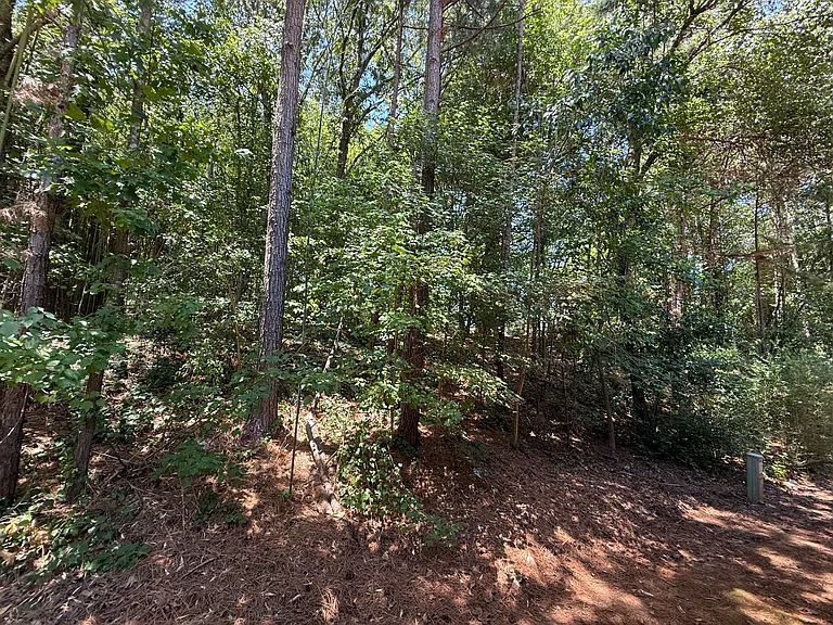 1921 Tischer Rd — Photo 37