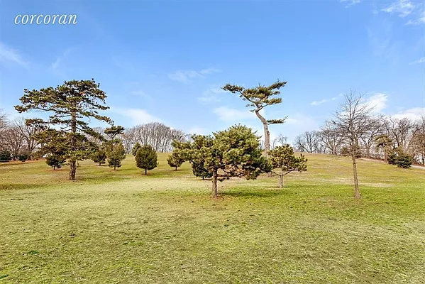 Sold by Corcoran | media 5