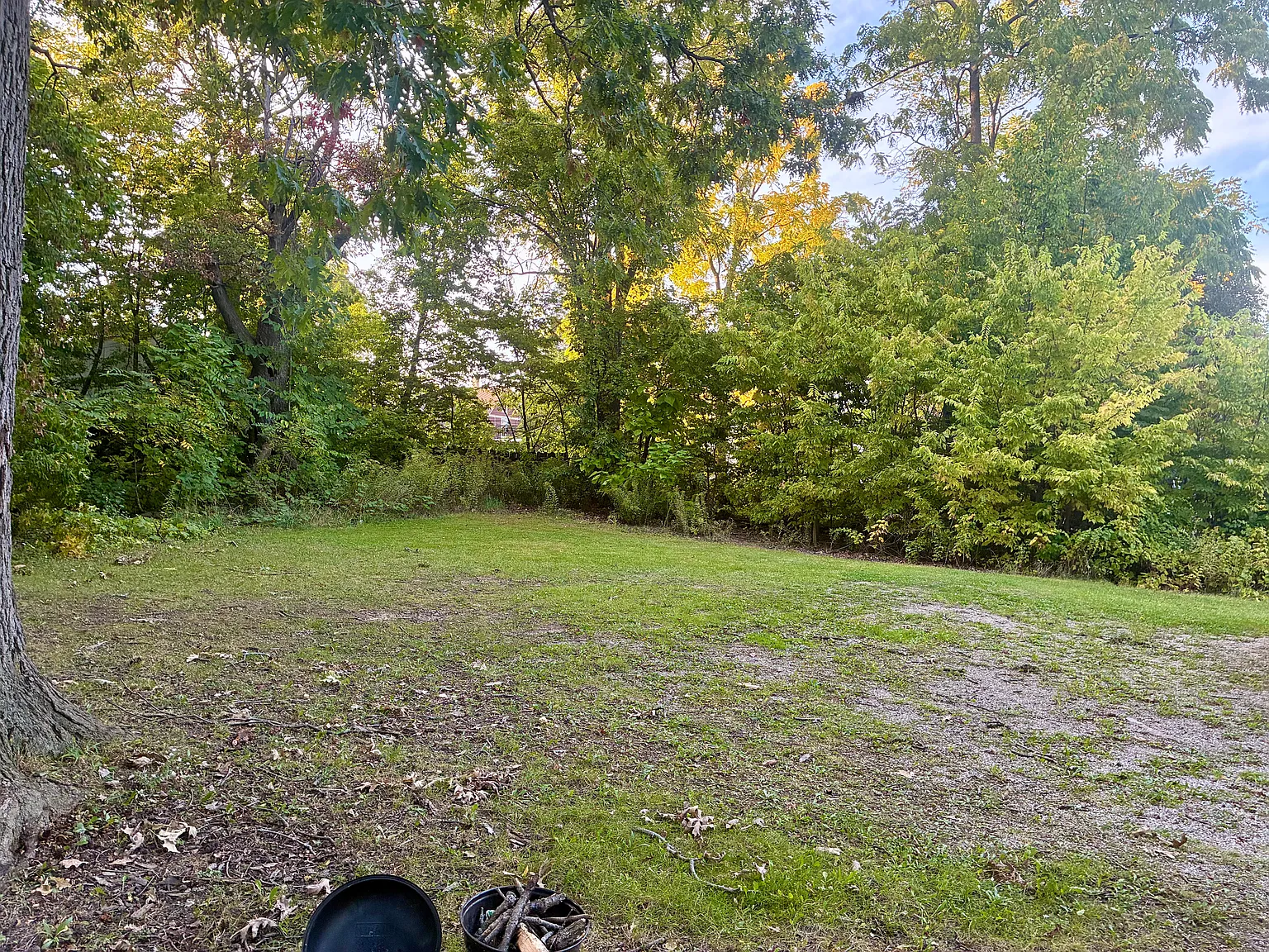 2 bed, 771 sqft, $1,000 — Photo 3