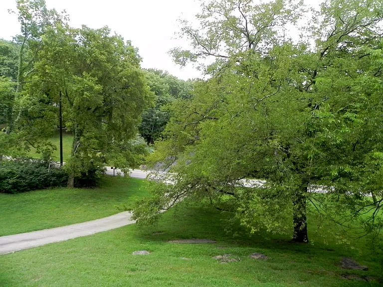 view to left from house, toward street