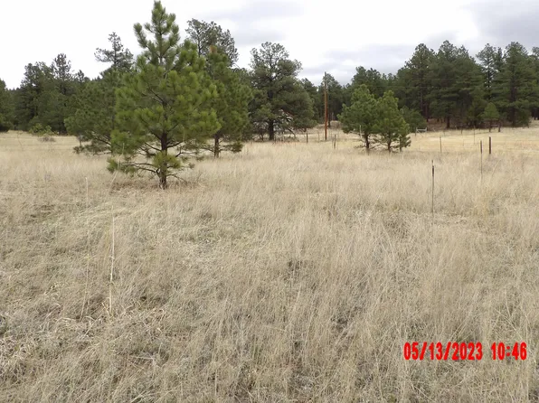 Unassigned Spruce Ln Lot 68, Weston, CO 81091