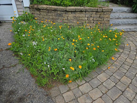 4th image of 27 Red Squirrel Lane